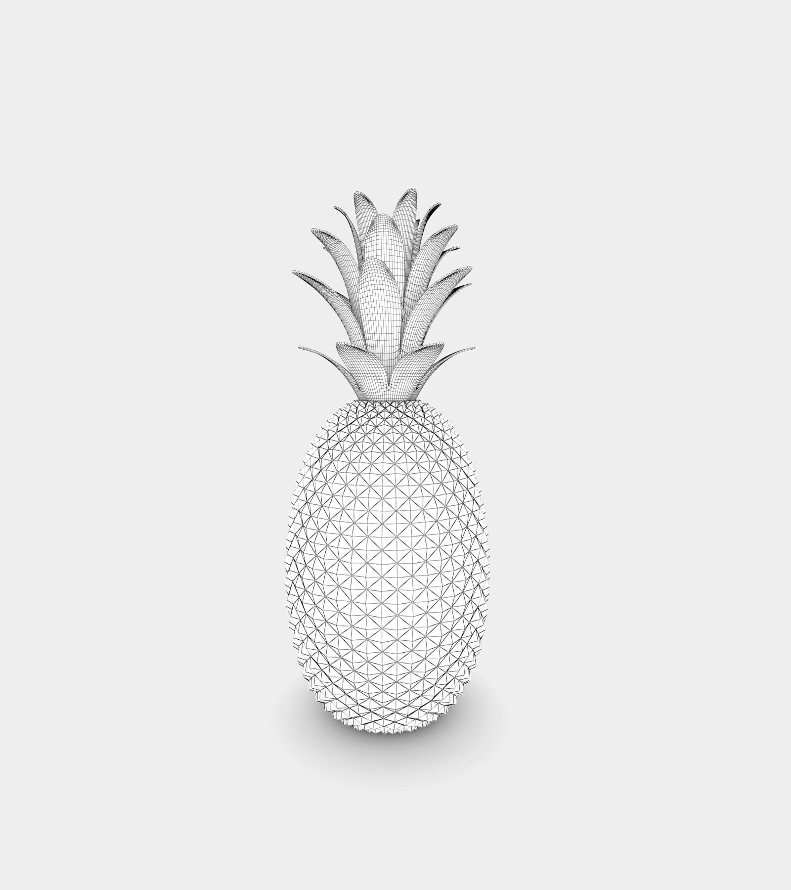 Pineapple statue-wire-1 3D Model
